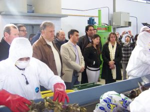 dia del ambiente 088